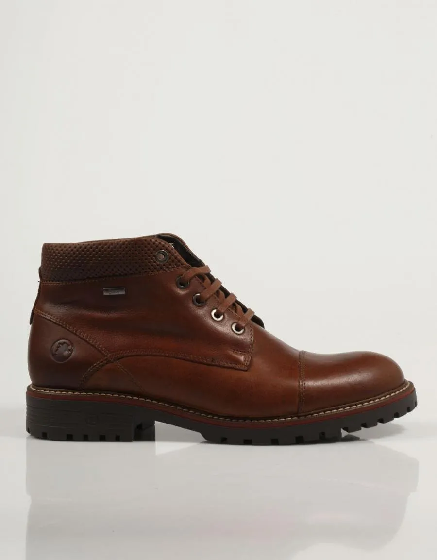  bottines CORONEL TAPIOCCA C2320 en Cuir 84088